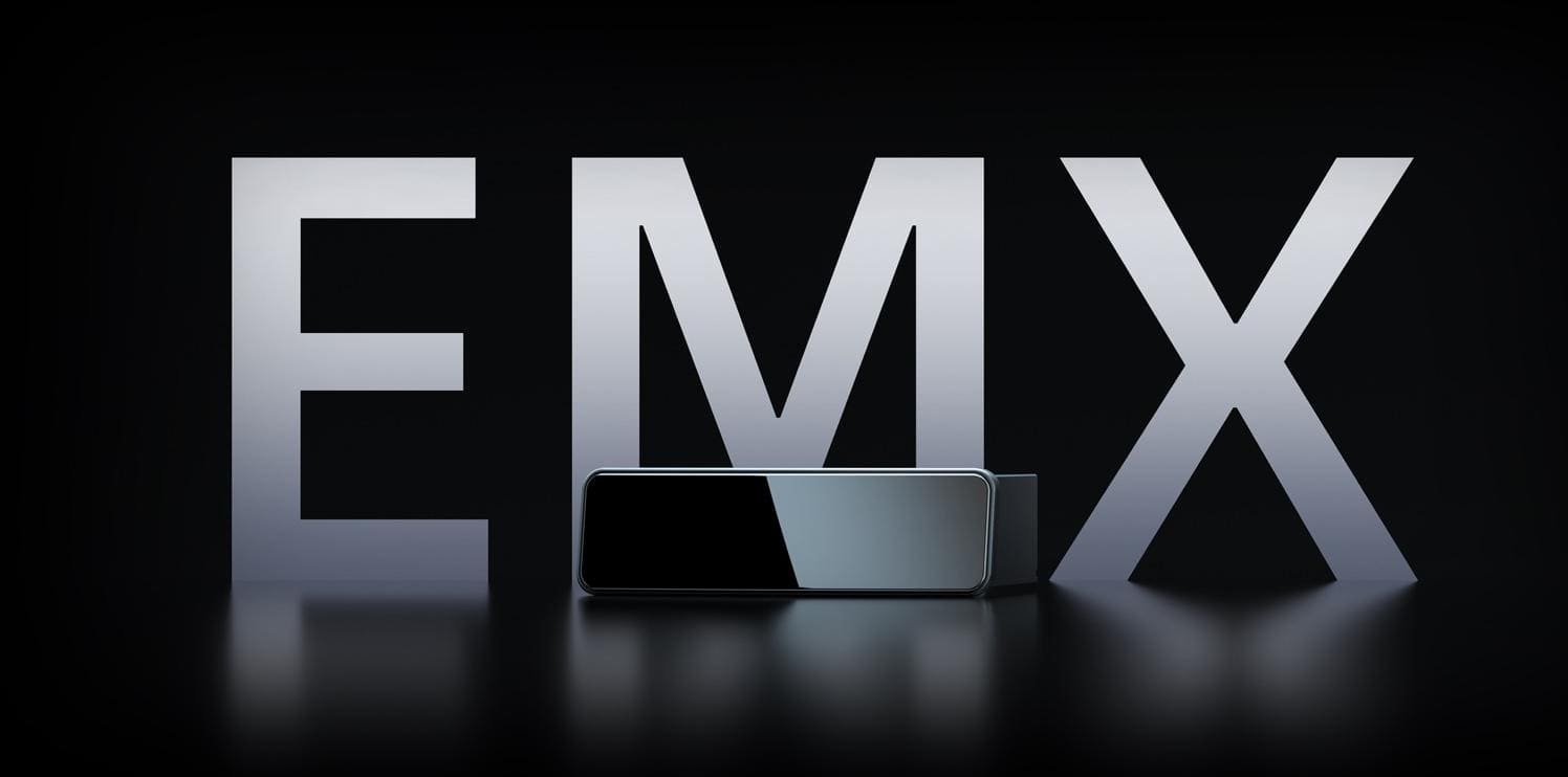 ROBOSENSE EMX